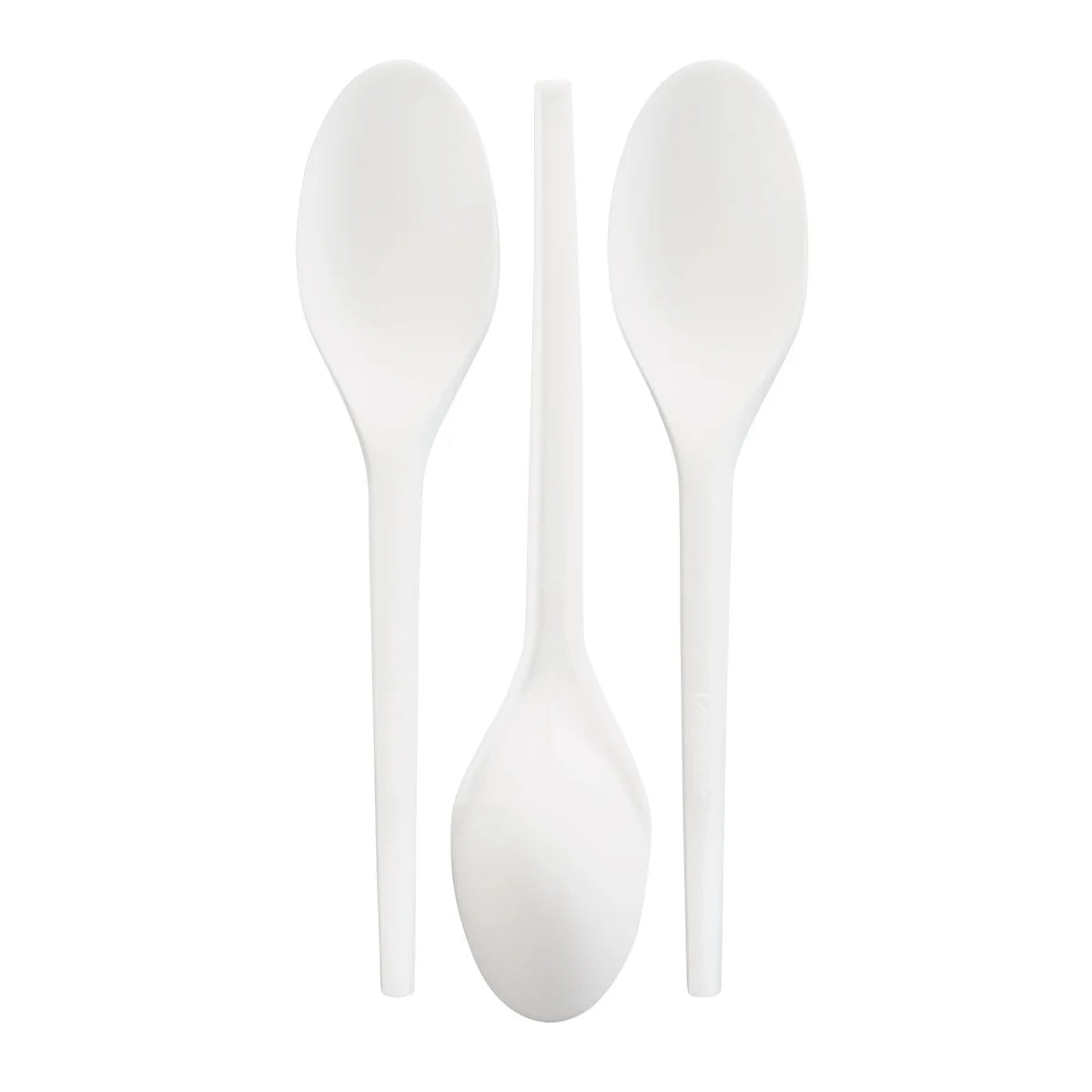 Eco Raj Disposable Compostable Spoons – 1,000 Pieces