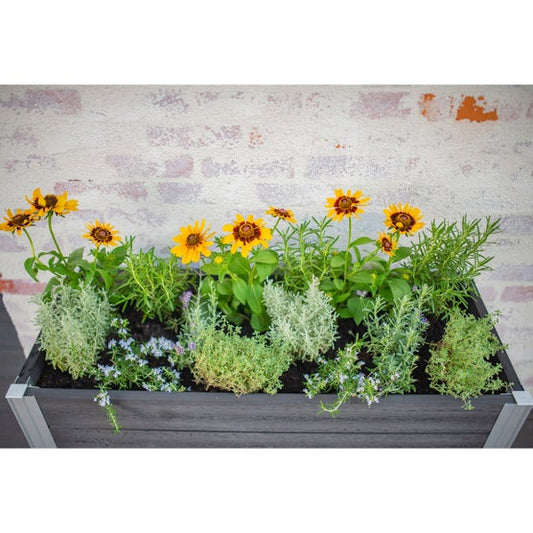 Vita Urbana Greens Elevated Garden