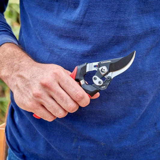 Trimming and Pruning Set