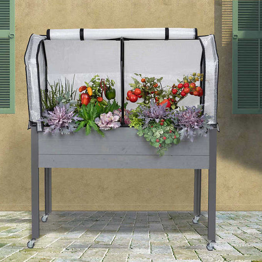 Greenhouse & Bug Cover with Self-Watering Elevated Spruce Planter.