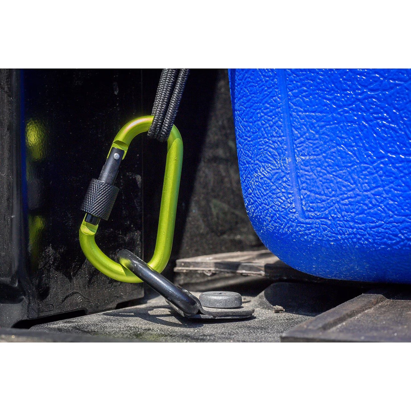 4'x6' Cargo Net with 16-pc D-Clips