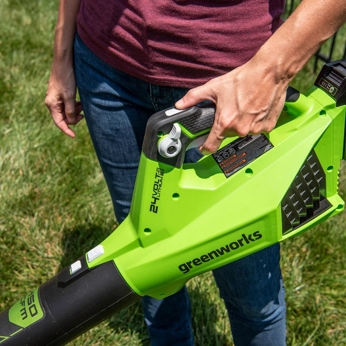 Greenworks 24V Blower with 4Ah and 2Ah Batteries + Charger