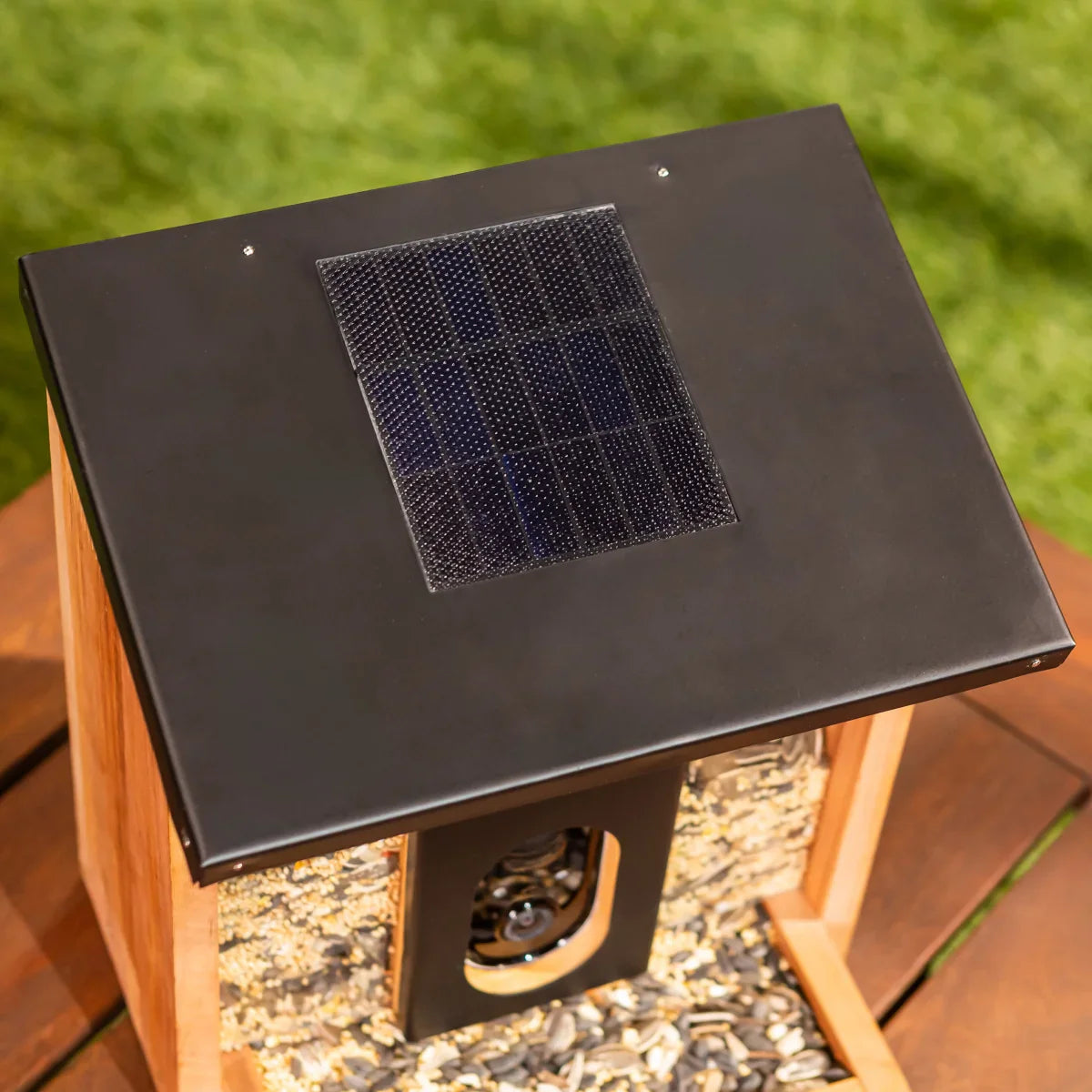 Bird Feeder With Solar Panel