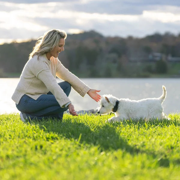 PetSafe Guardian GPS 2.0 Dog Fence + Tracking Collar, 2-Year Subscription
