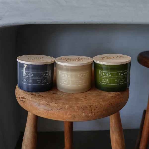 Sand + Paws 12 oz. Candles with Carved Wood Lids, Set of 3