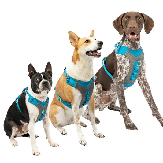 Kurgo Journey Air Harness and Quantum 6-in1 Leash Bundle