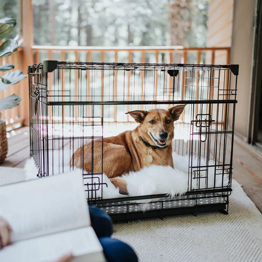 Lucky Dog DWELL Series Crate, Black Finish