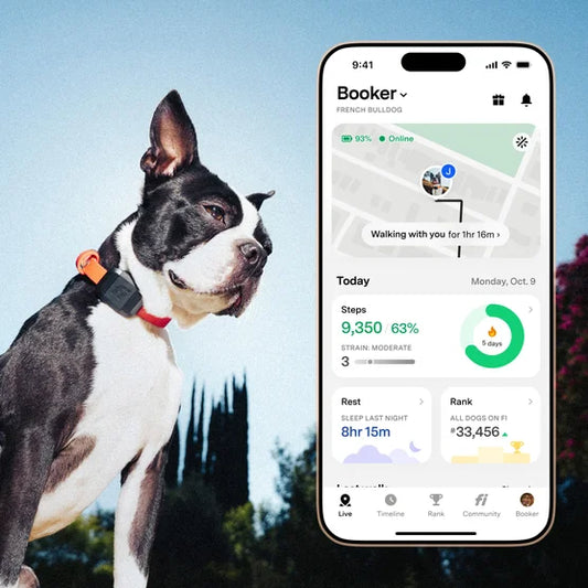 Fi Mini GPS Tracker for Dogs & Cats - Activity & Health Monitor