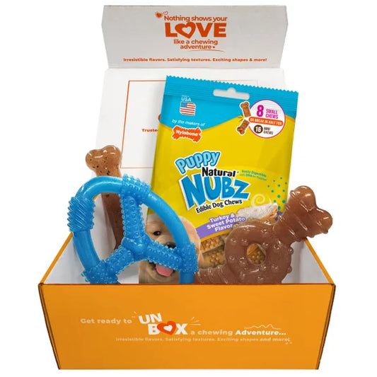Puppy Chew Toys and Small NUBZ Gift Box, 4-count