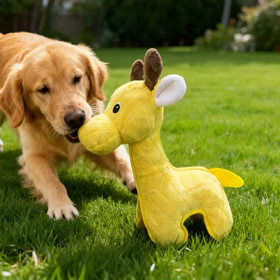 Safari XXL Tough Dog Toys, 2-count