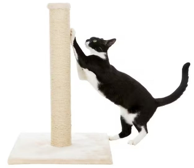 Cat Scratching Post : For Indoor Cats