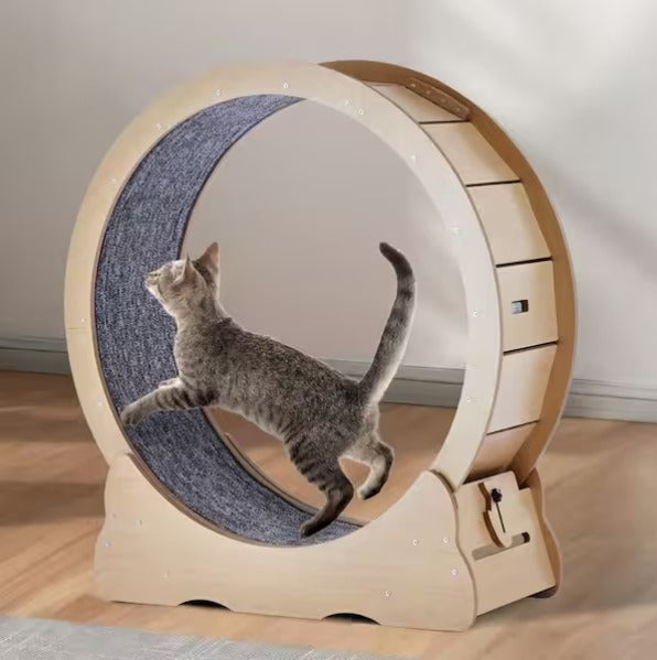 Cat Exercise Wheel, 35.8 in
