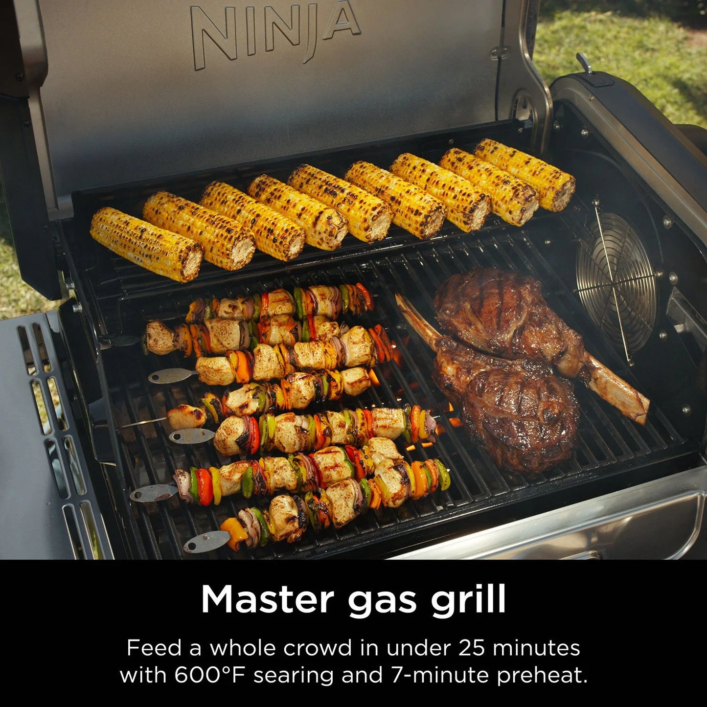 Propane Grill & Smoker Outdoor Cooking System 5-in-1
