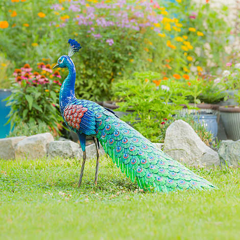 39" Metal Peacock