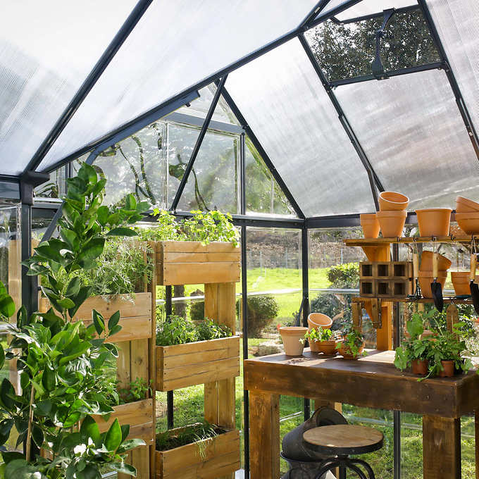 Palram Canopia Victory Orangery 10'x12' Greenhouse and Solarium w/Auto Vent Kit