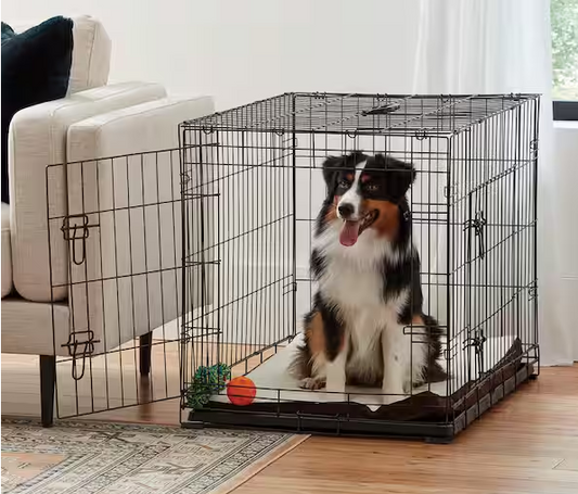 Medium Black Collapsable Pet Crate