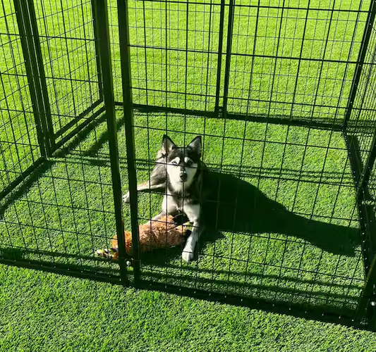 Kennel Heavy-Duty Pet Playpen Foot Dog Exercise House