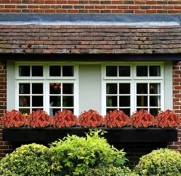 14 in. Orange Artificial Boxwood Flowers