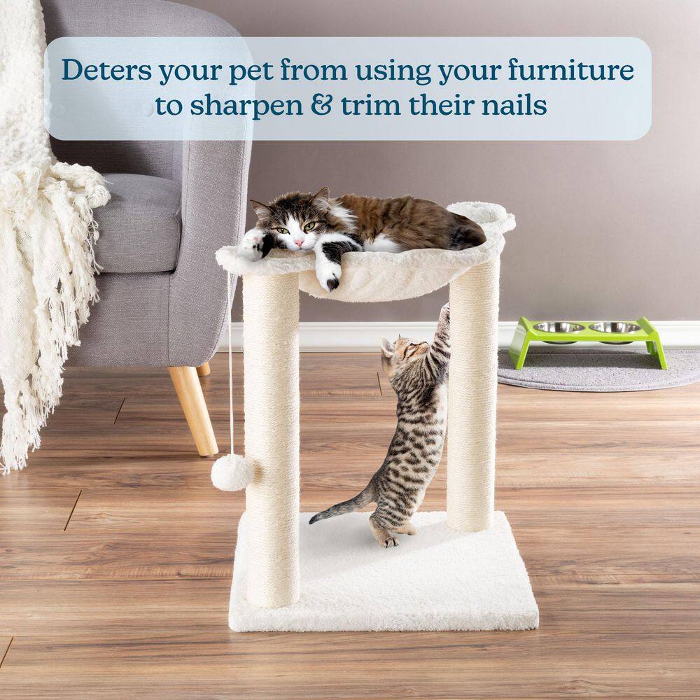 Cat Hammock and Scratching Post