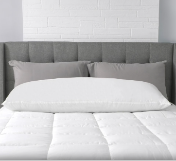 Body Size Pillow - AllerEas