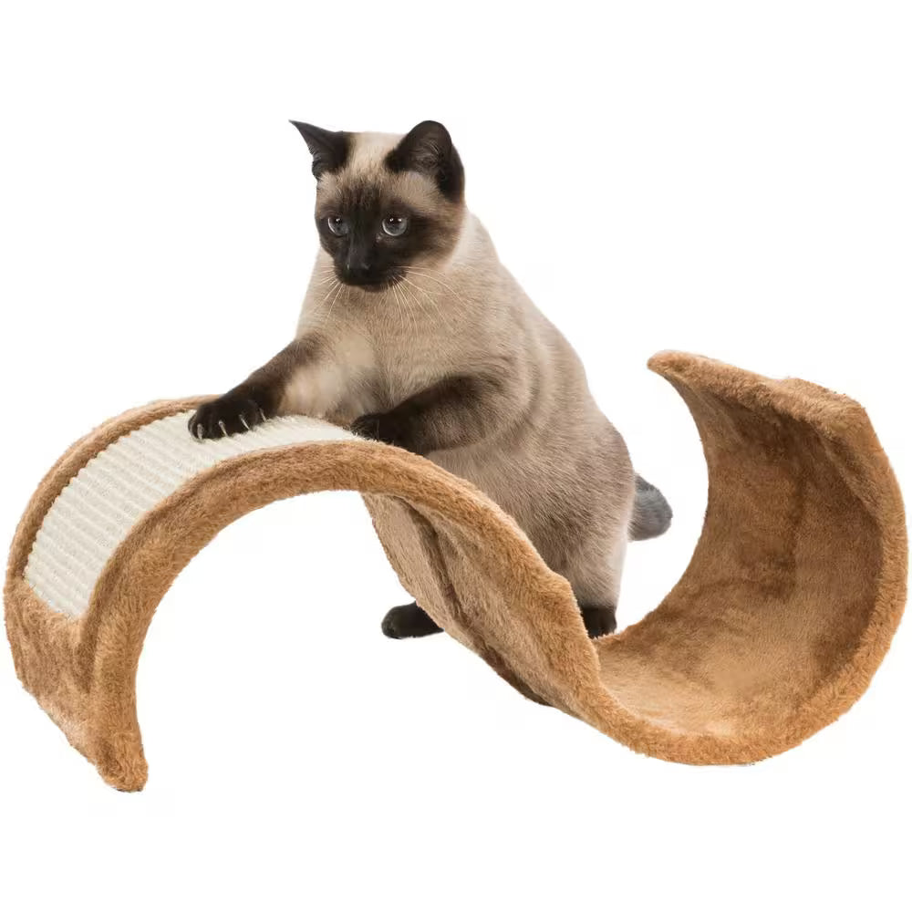 Brown Cat Scratching Wave