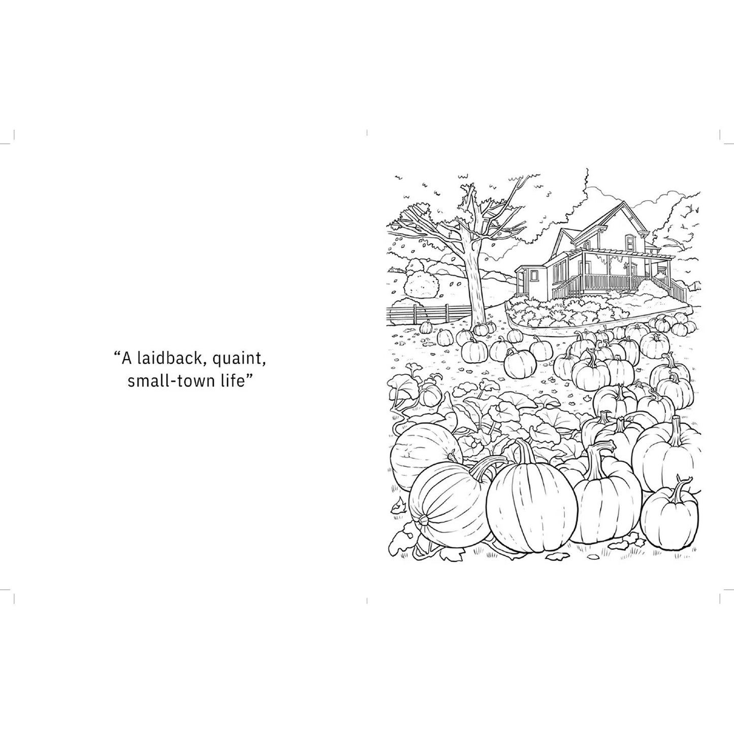 The Pumpkin Spice Coloring Book, Paperback
