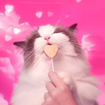 Freeze Dried Chicken Flavored Lollipop Cat Treats, 36 pk.