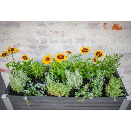 Vita Urbana Greens Elevated Garden