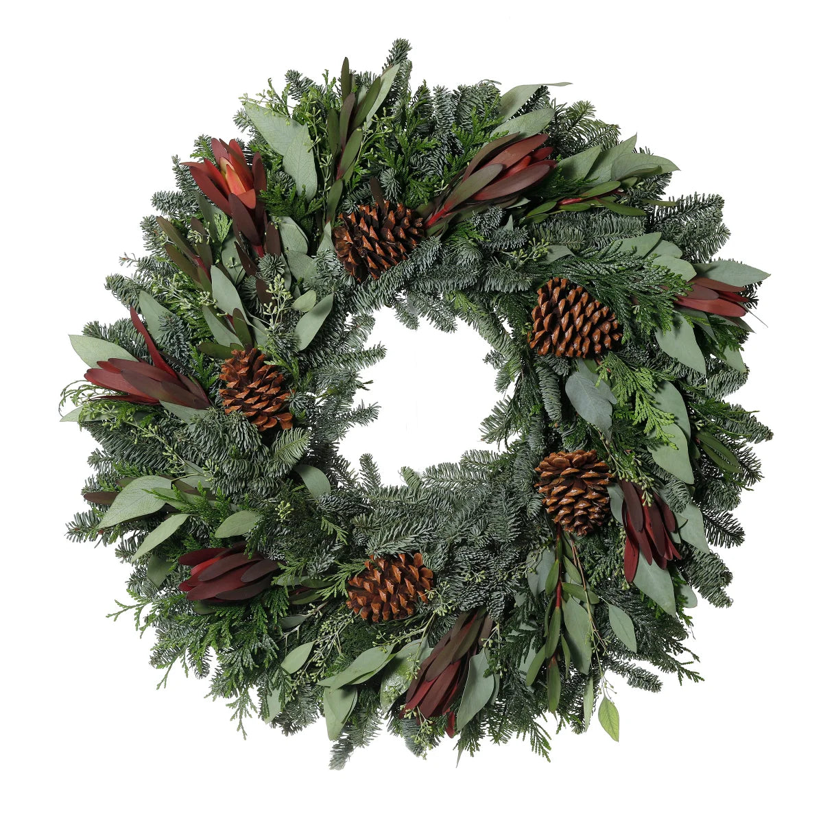 Fresh Protea Wreath - 24"