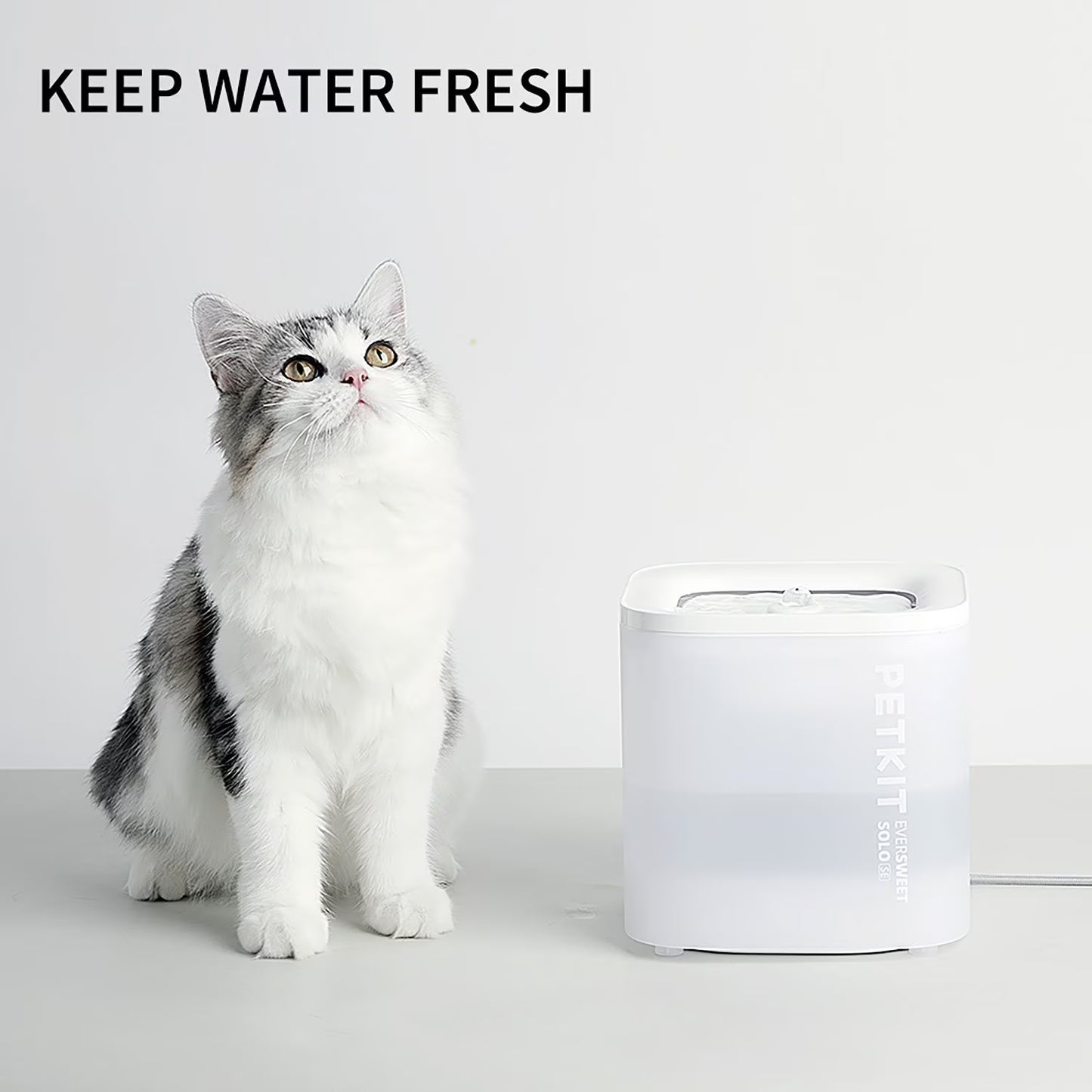 Eversweet Solo SE Smart Pet Water Fountain