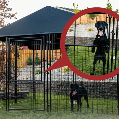 Dog Kennel 8'x8' with Privacy Screen
