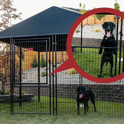 Lucky Dog STAY Series Presidential Dog Kennel 10'x10' with Privacy Screen