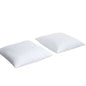 Feather Euro Pillow, 2-pack