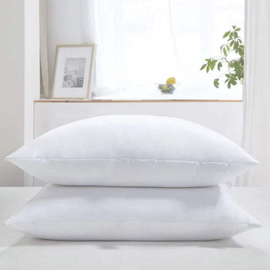 Feather Euro Pillow, 2-pack