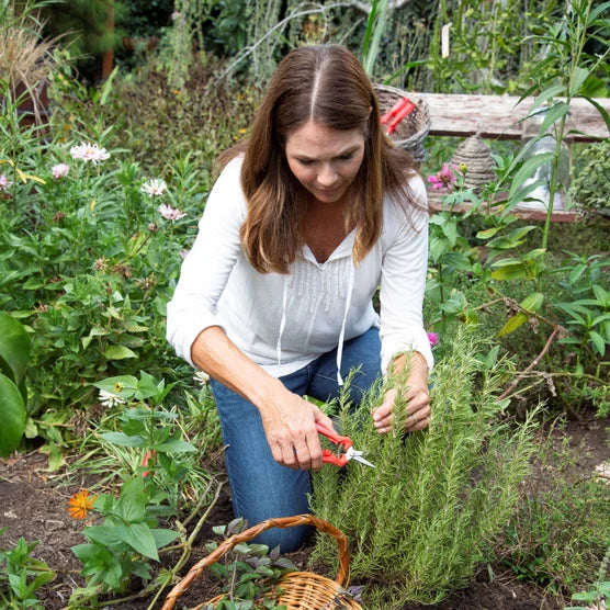 Trimming and Pruning Set