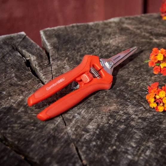 Trimming and Pruning Set