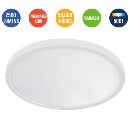 15" Ceiling Light 2500 Lumens, 2-Pack