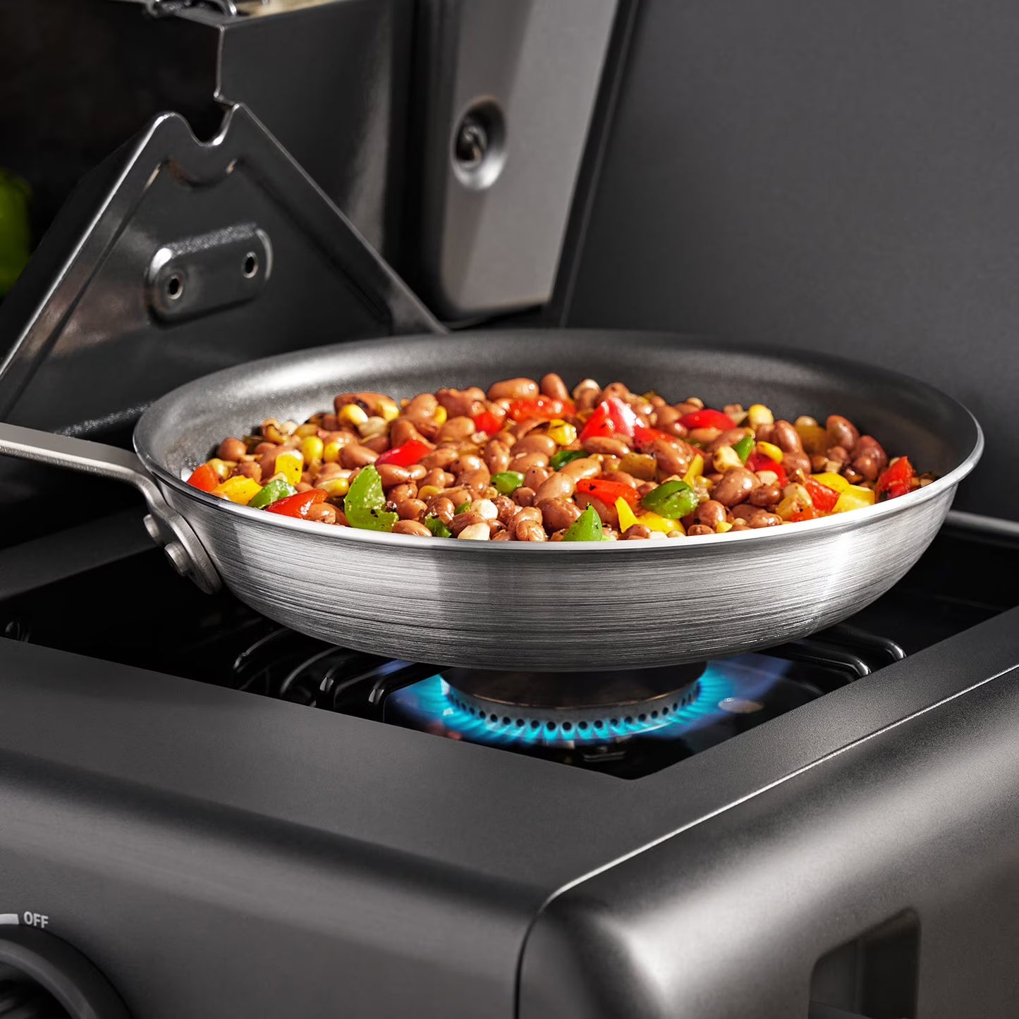 5-Burner Propane Gas Grill