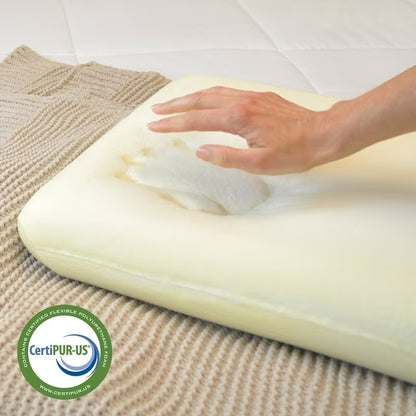 Luxury Resort Queen Memory Foam Pillow with Cooling Cover, Set of 2