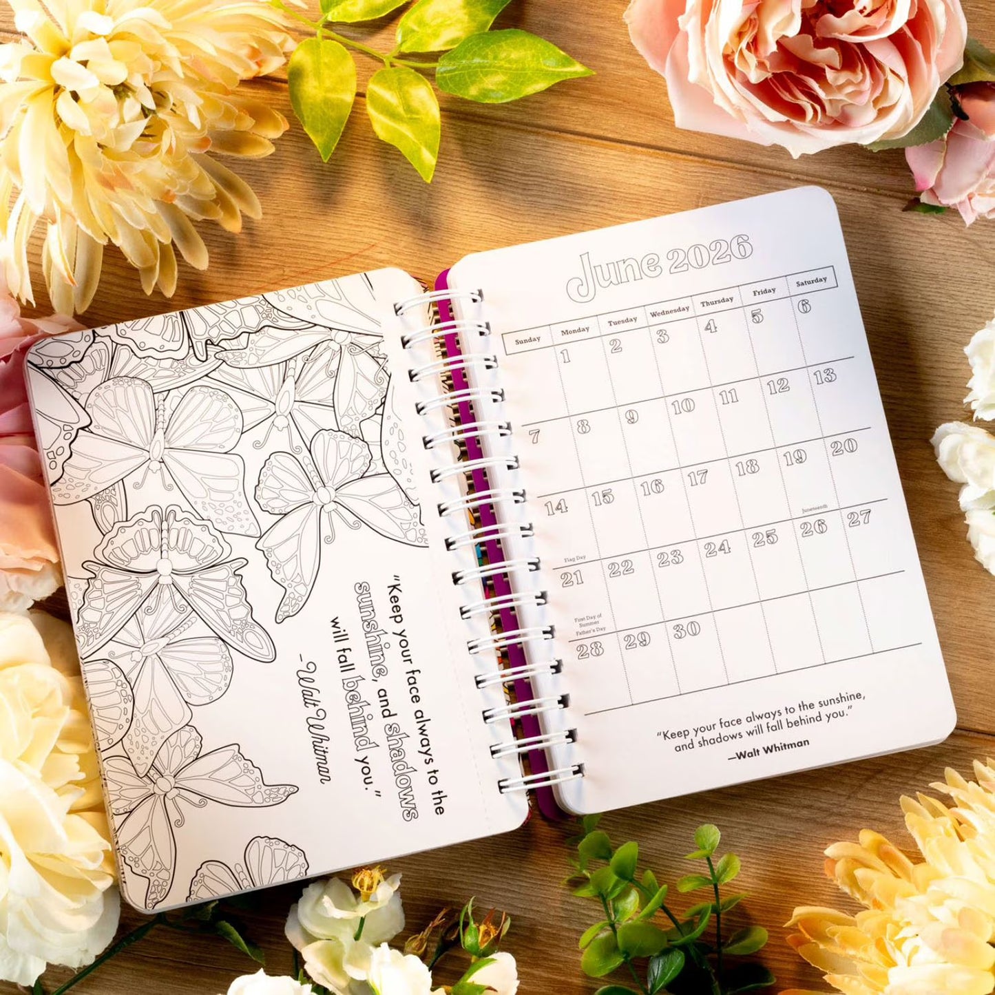 18-Month 2026 Coloring Planner