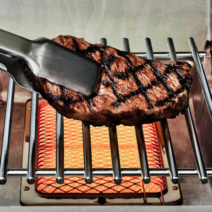 Regal S 690 Pro IR Gas Grill, Natural Gas