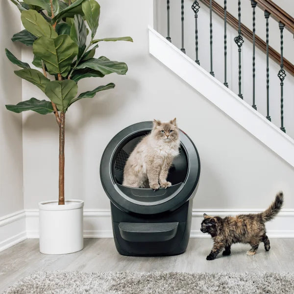 Litter-Robot 4 Self-Cleaning Cat Litter Box Specialty Bundle