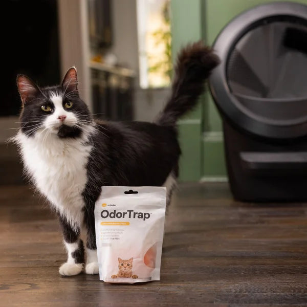 Litter-Robot 4 Self-Cleaning Cat Litter Box Specialty Bundle
