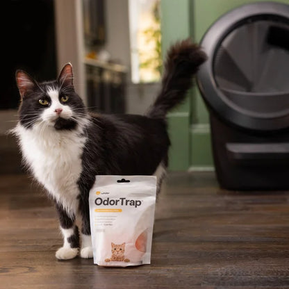 Litter-Robot 4 Self-Cleaning Cat Litter Box Specialty Bundle