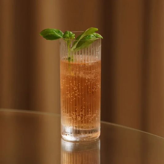 Stalzle Lausitz Soho Highball, Set of 6