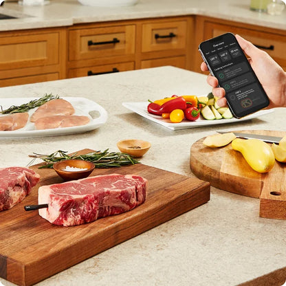 Chef iQ Smart Thermometer and Hub, 2-probe Set