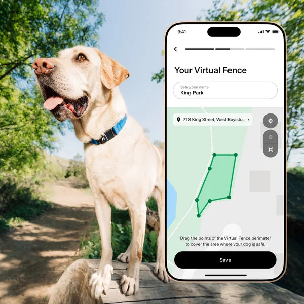 Fi Series 3+ Smart Dog Collar - GPS Tracker and Activity & Health Monitor, 14-Month Subscription