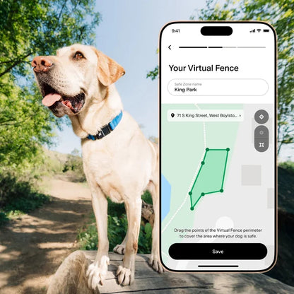 Fi Series 3+ Smart Dog Collar - GPS Tracker and Activity & Health Monitor, 14-Month Subscription