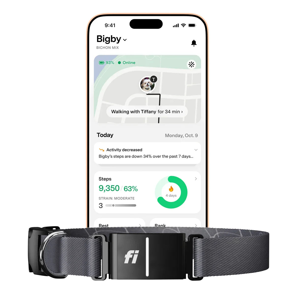 Fi Series 3+ Smart Dog Collar - GPS Tracker and Activity & Health Monitor, 14-Month Subscription
