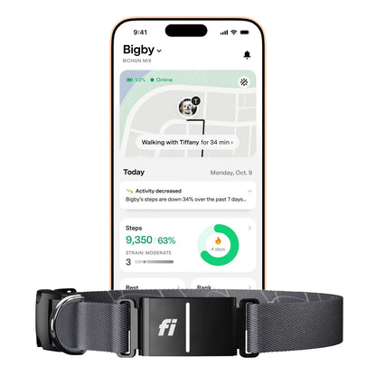 Fi Series 3+ Smart Dog Collar - GPS Tracker and Activity & Health Monitor, 14-Month Subscription